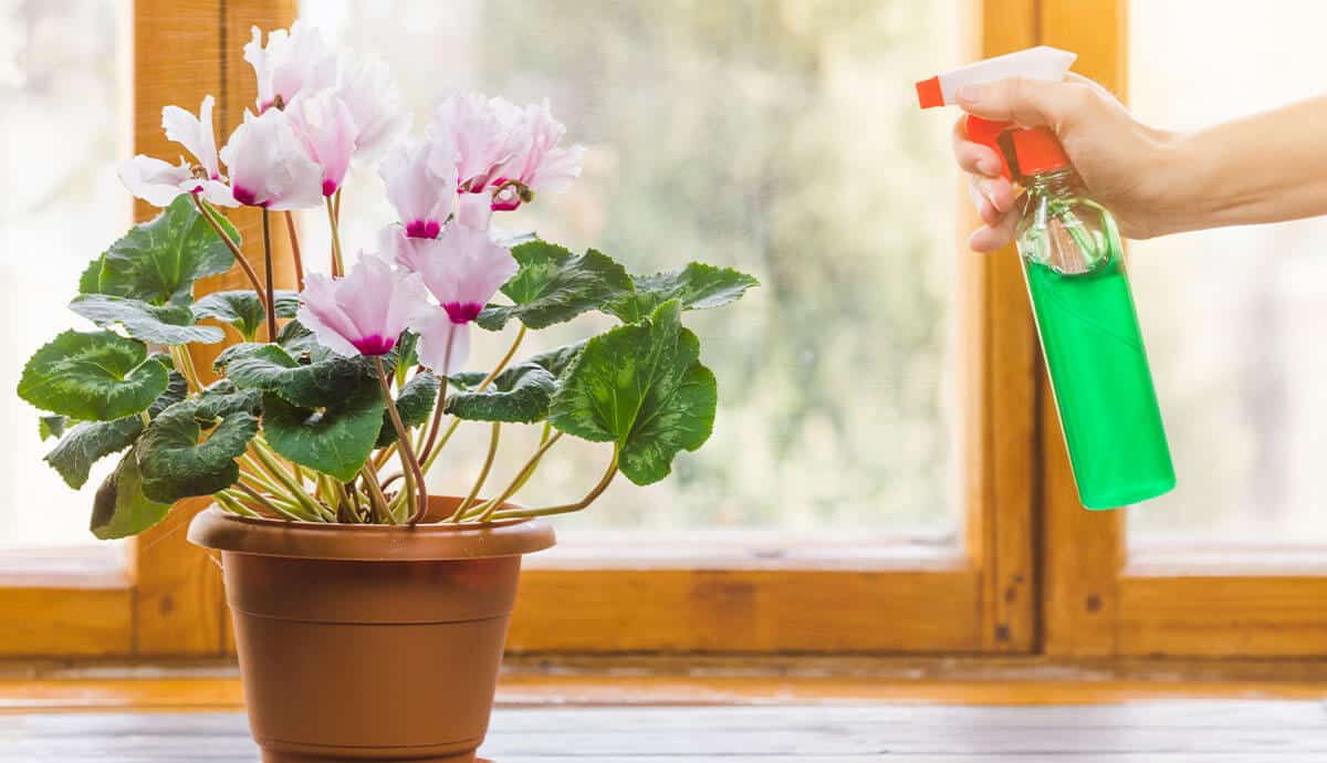 how to clean silk flowers​