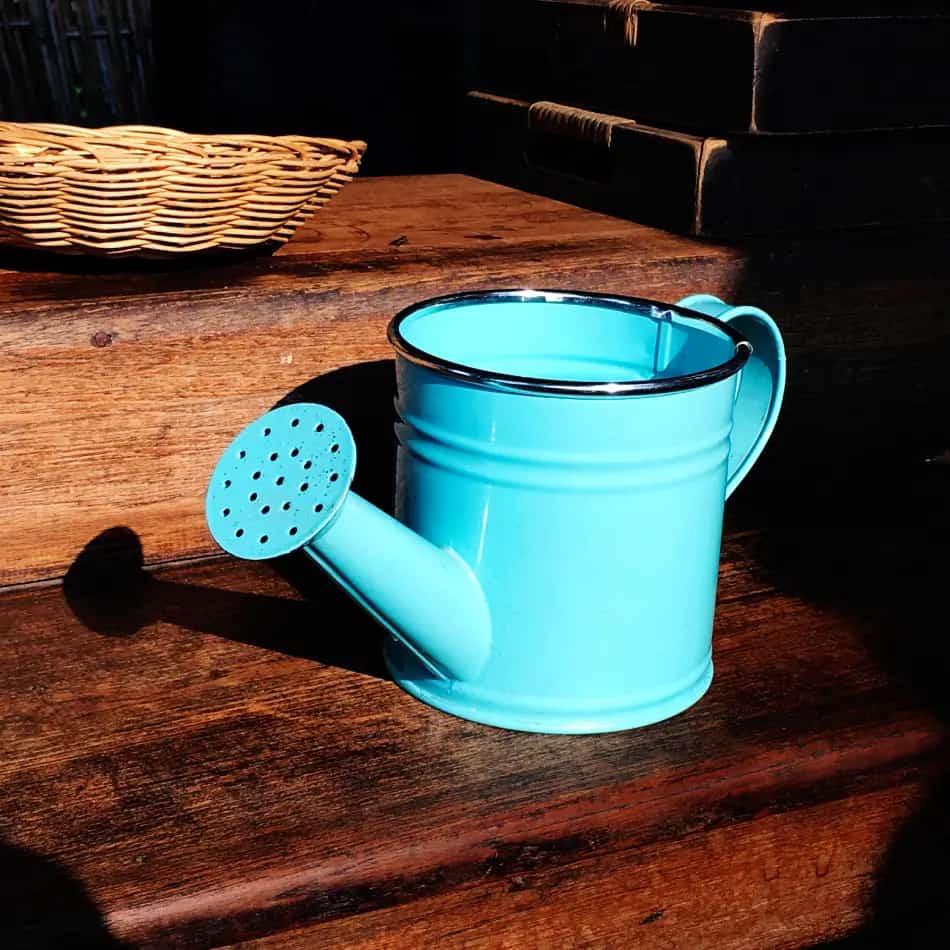 Garden Hose or Watering Can