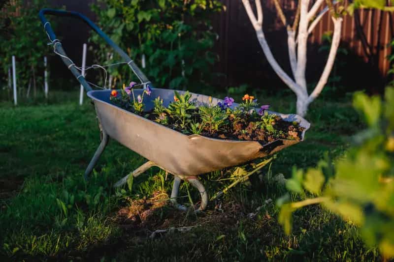 Wheelbarrow