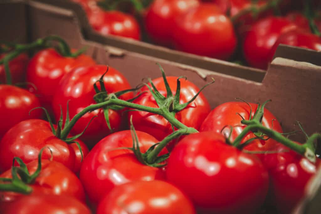 Close-up, tomatoes in a box on the counter.