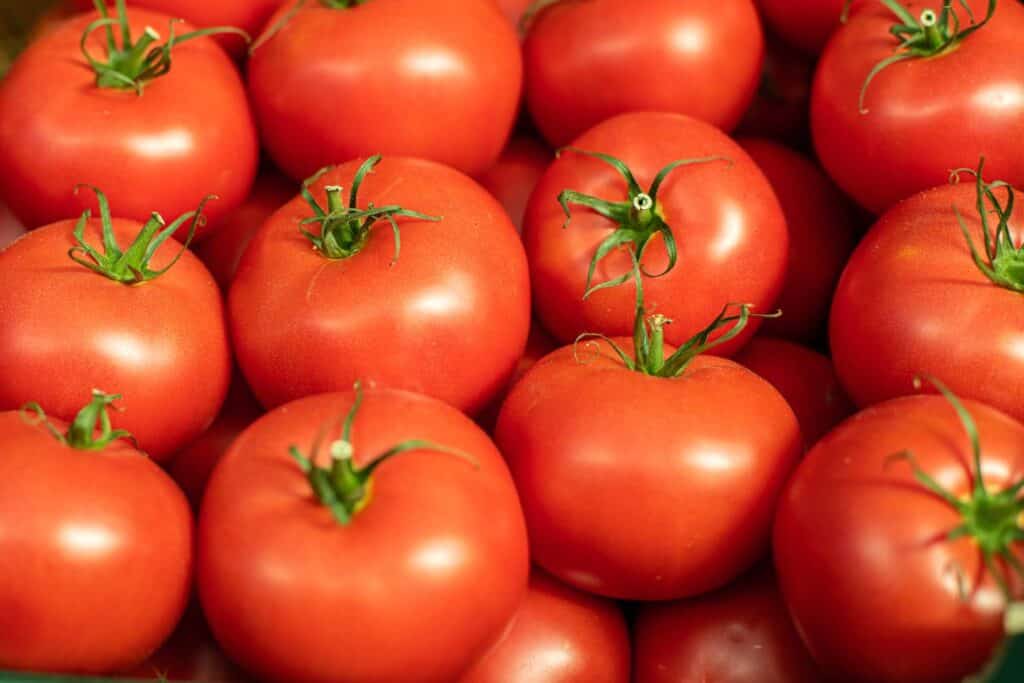 group-fresh-red-tomatoes